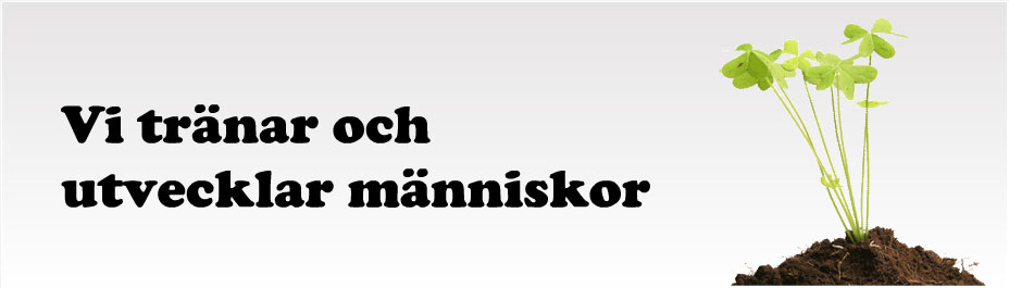 Lysande Utsikter utvecklar ledare, s�ljare, grupper och organisationer.